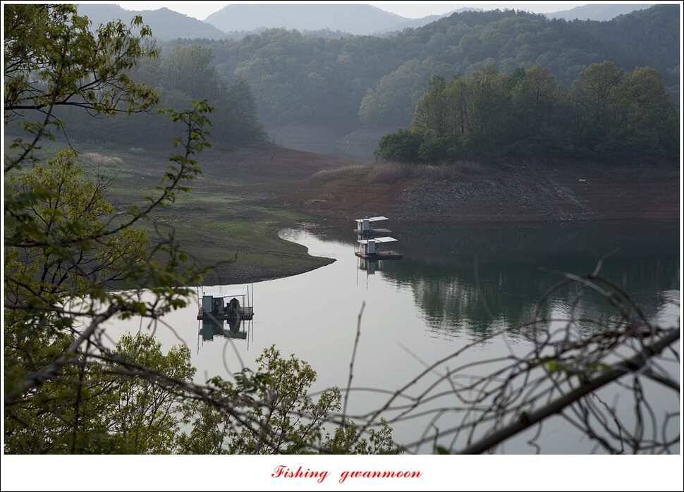 실리곡 사짜한버들 사짜 (조황조행기 - 특파원조황)