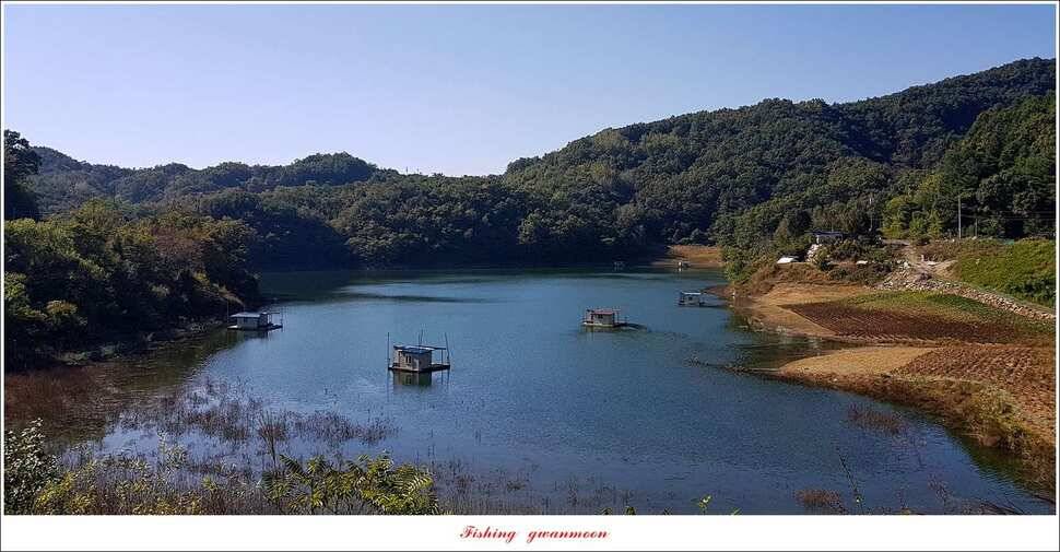 돌감 월척실리곡 월척 조황 (조황조행기 - 특파원조황)