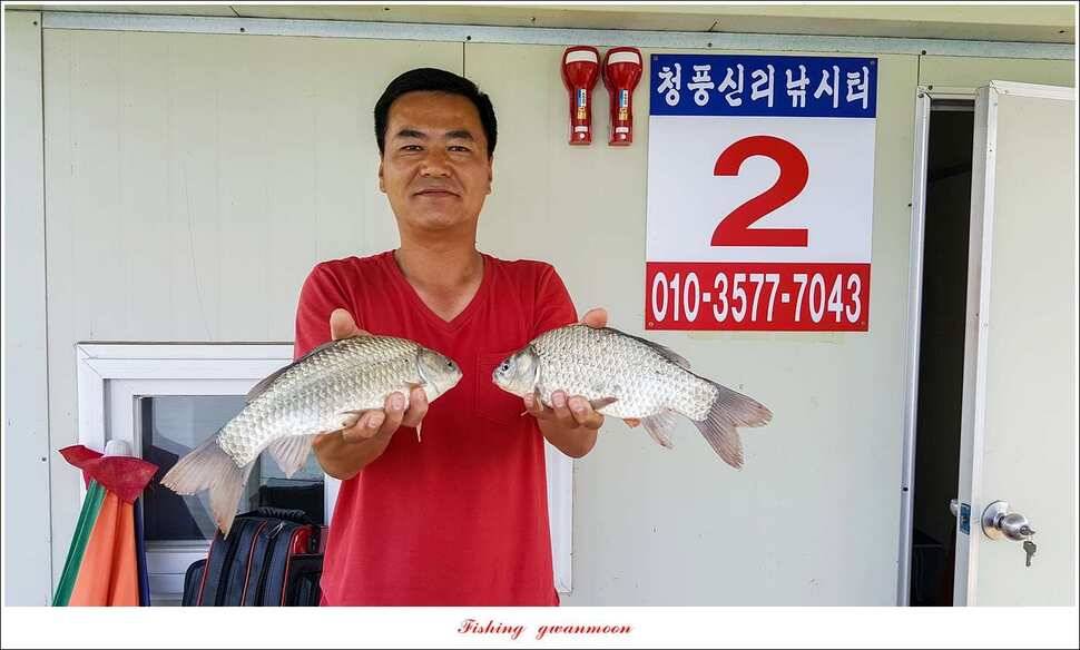 서유석 장어청풍 신리실리곡 허리급 월척 조황 (조황조행기 - 특파원조황)