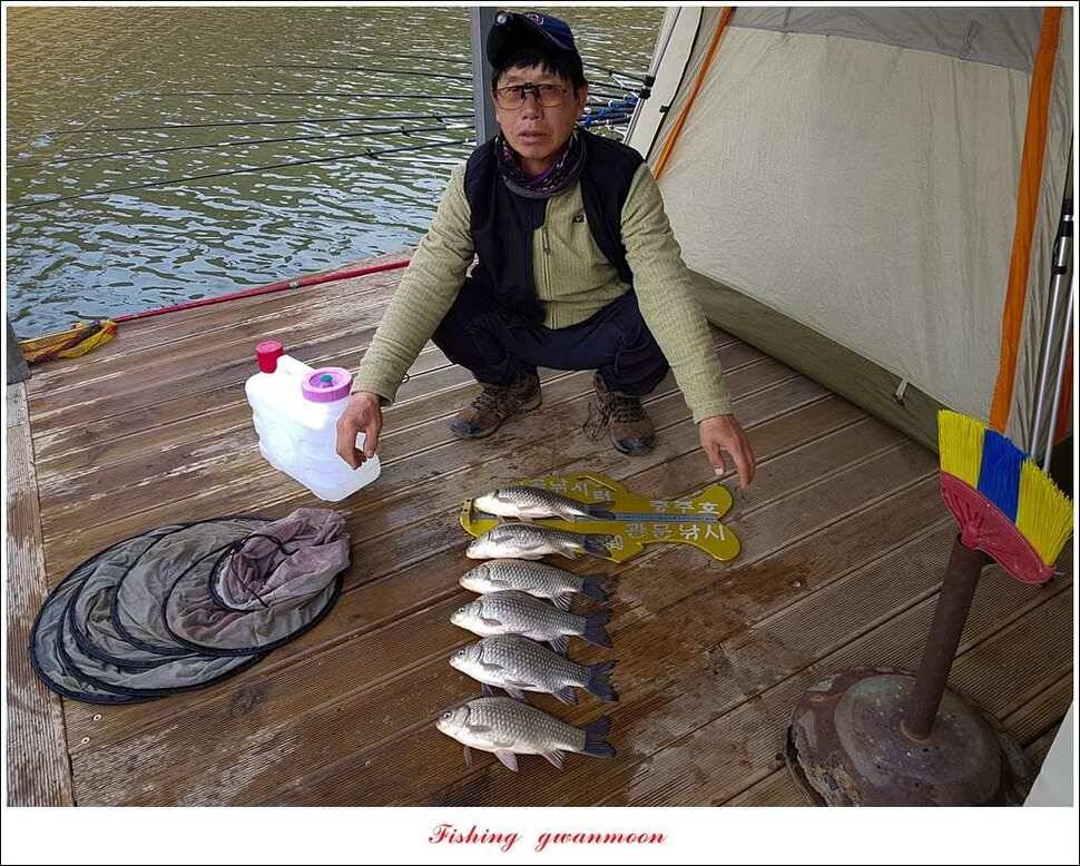 함지 마릿수 사짜실리곡 마릿수 월척 (조황조행기 - 특파원조황)
