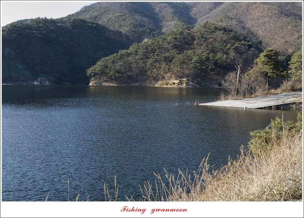 충주호 조황과 빙어 낚시 (조황조행기 - 특파원조황)