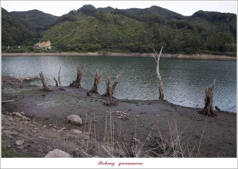 청풍 신리 월척 및 마릿수 조황돌감좌대 육초 작업 (조황조행기 - 특파원조황)