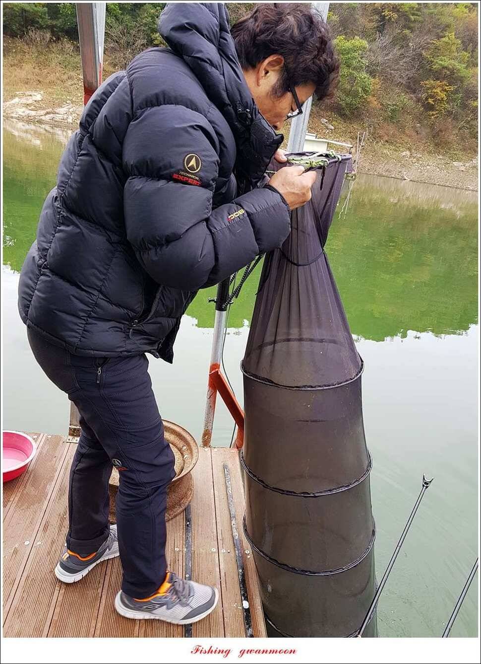 늘푸른실리곡한버들 월척 조황 (조황조행기 - 특파원조황)