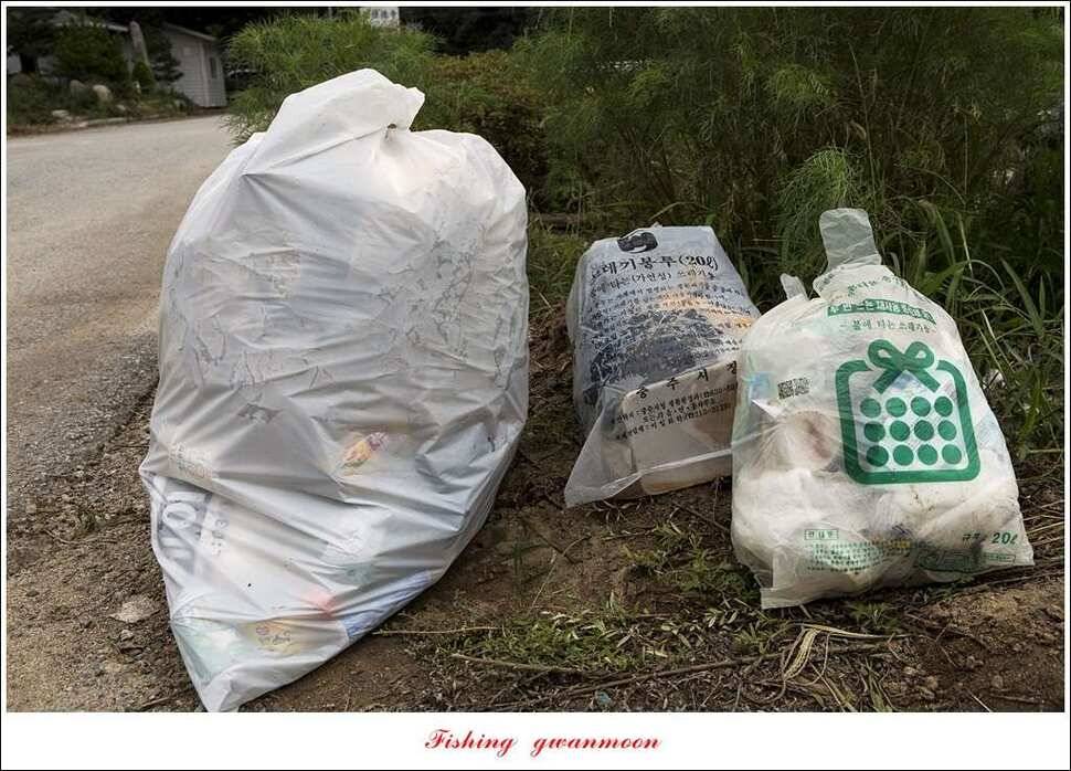 추평지화곡지한버들두무소달천강소류지 조황 (조황조행기 - 특파원조황)