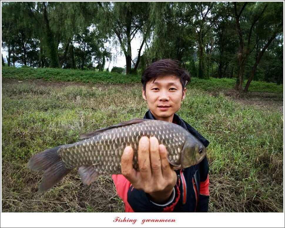 추평지화곡지한버들두무소달천강소류지 조황 (조황조행기 - 특파원조황)