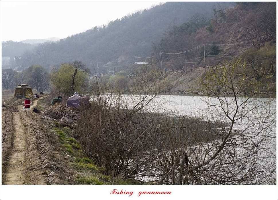 충주호 첫 붕어달천강 월척 (조황조행기 - 특파원조황)