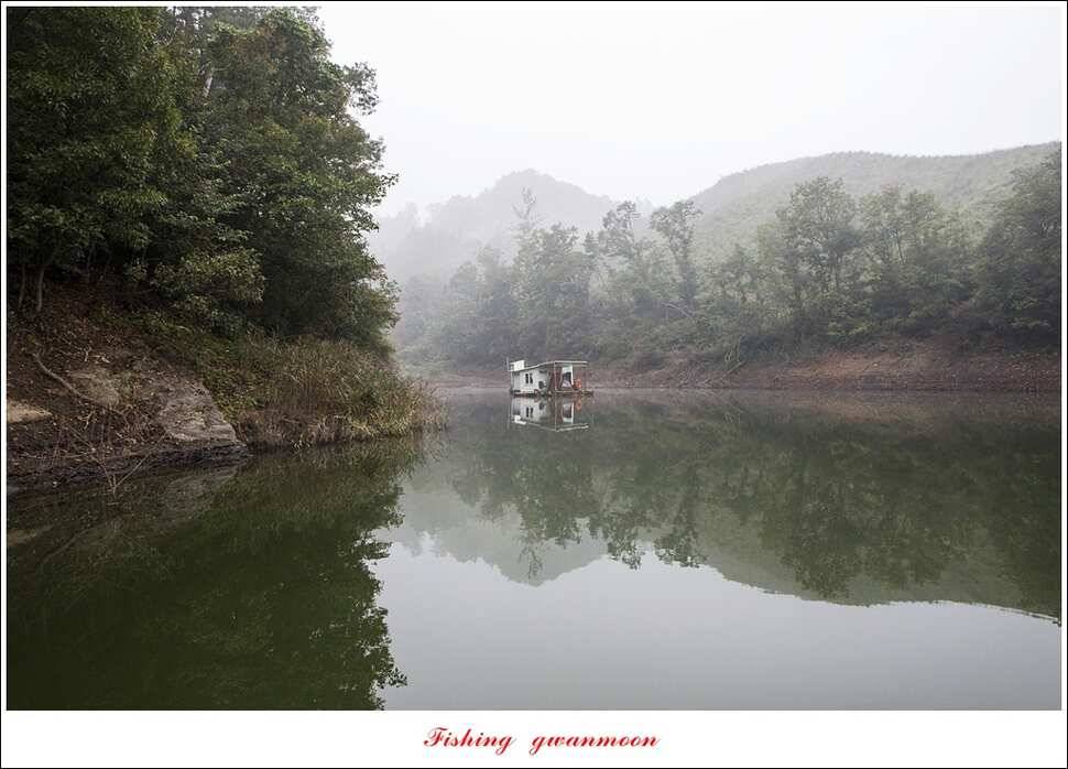 신매한버들화곡지 월척 조황 (조황조행기 - 특파원조황)