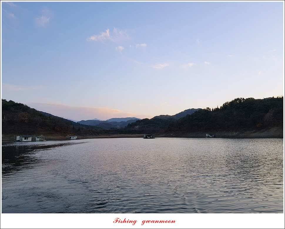 신매 혹부리 445 cm병호 41 cm실리곡한버들두무소 월척 조황 (조황조행기 - 특파원조황)