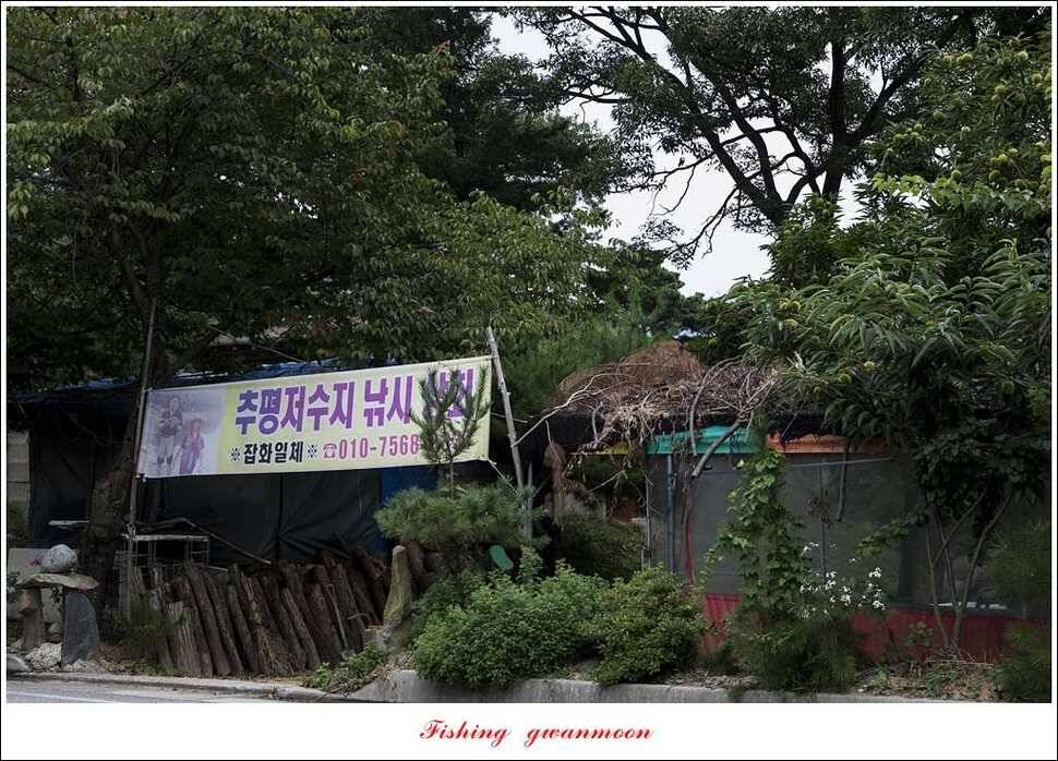 추평지화곡지한버들두무소달천강소류지 조황 (조황조행기 - 특파원조황)