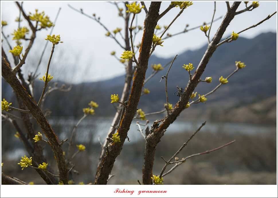 칠성지화곡지매전지추산지 현황 (조황조행기 - 특파원조황)
