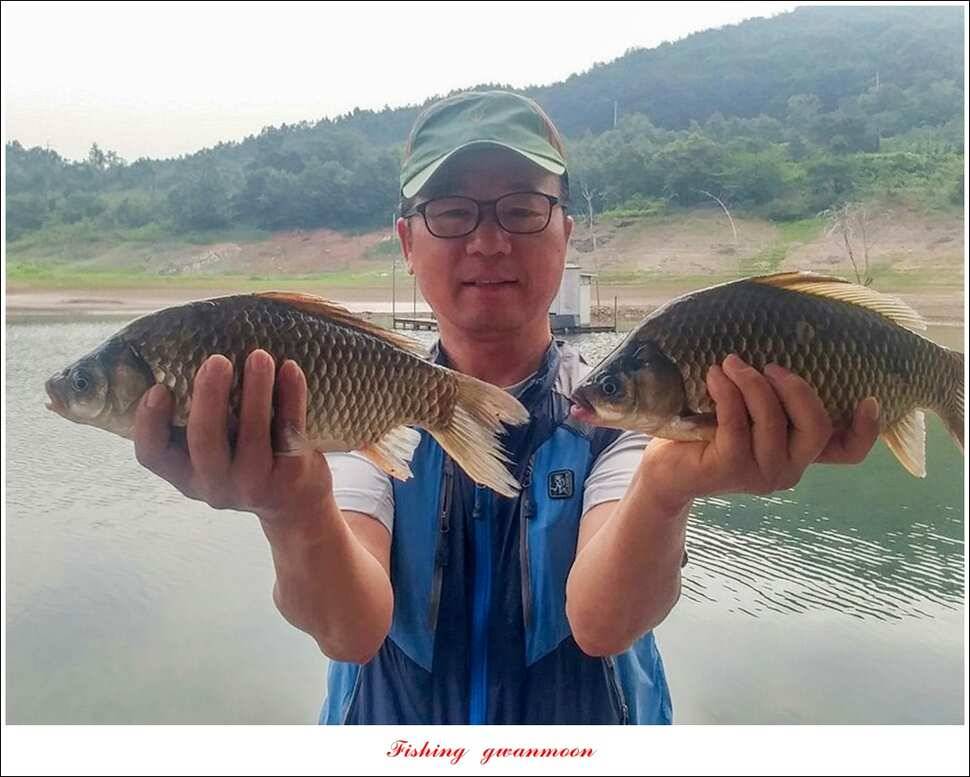 청풍 신리돌감 좌대 월척 조황 추평지 소식 (조황조행기 - 특파원조황)