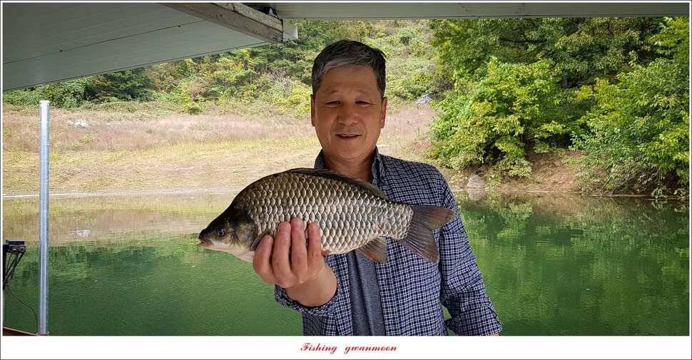 돌감 월척실리곡 월척 조황 (조황조행기 - 특파원조황)