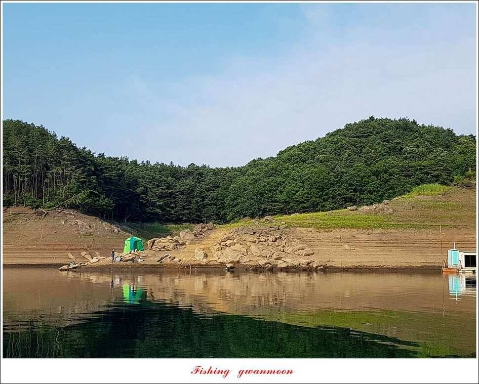 늘푸른 장어 대박청풍 신리 월척 조황 (조황조행기 - 특파원조황)