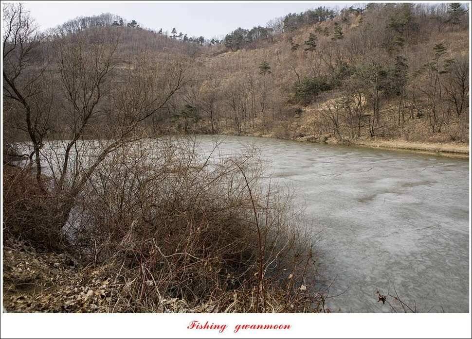 충주괴산권 물낚시 (조황조행기 - 특파원조황)