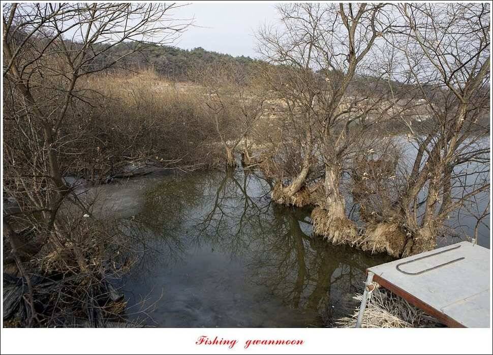 충주괴산권 물낚시 (조황조행기 - 특파원조황)