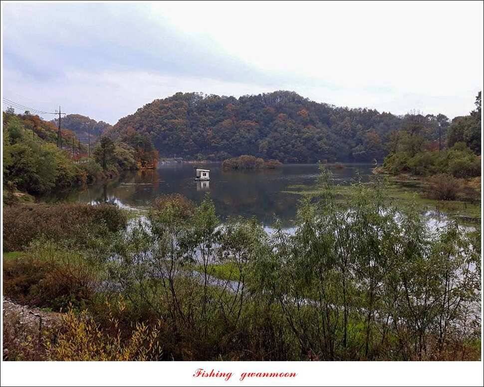 화곡지 사짜 및 조황 소식 (조황조행기 - 특파원조황)