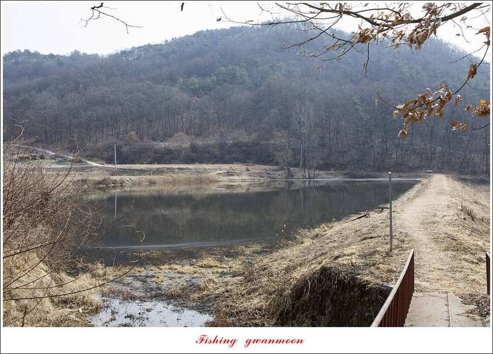 충주괴산권 물낚시 (조황조행기 - 특파원조황)