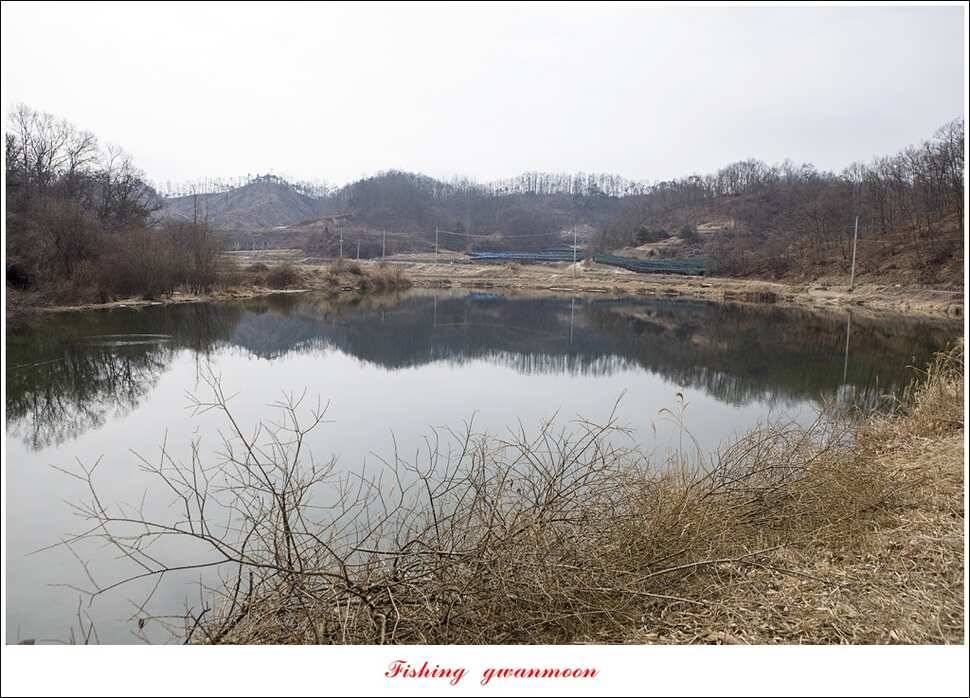 충주괴산권 물낚시 (조황조행기 - 특파원조황)