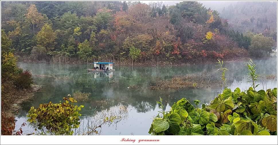 실리곡 허리급 월척 및 마릿수 조황 (조황조행기 - 특파원조황)