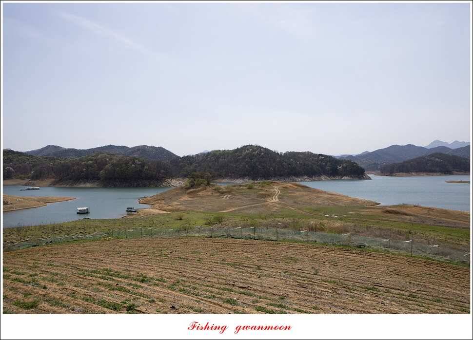 실리곡충주호 노지달천강괴산권 조황 (조황조행기 - 특파원조황)