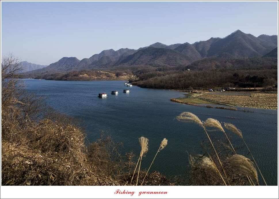 제일 낚시터 조황 (조황조행기 - 특파원조황)