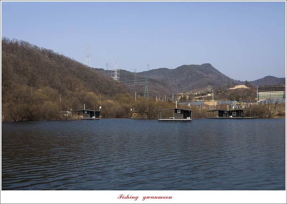 화곡지 마릿수 월척 조황 (조황조행기 - 특파원조황)