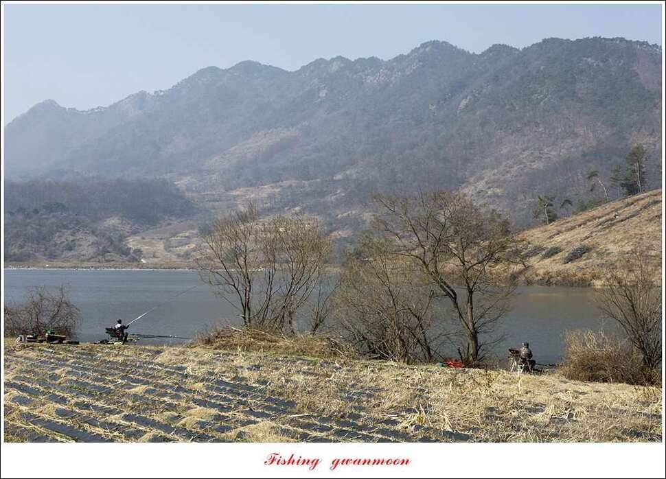 충주괴산권 조황 (조황조행기 - 특파원조황)