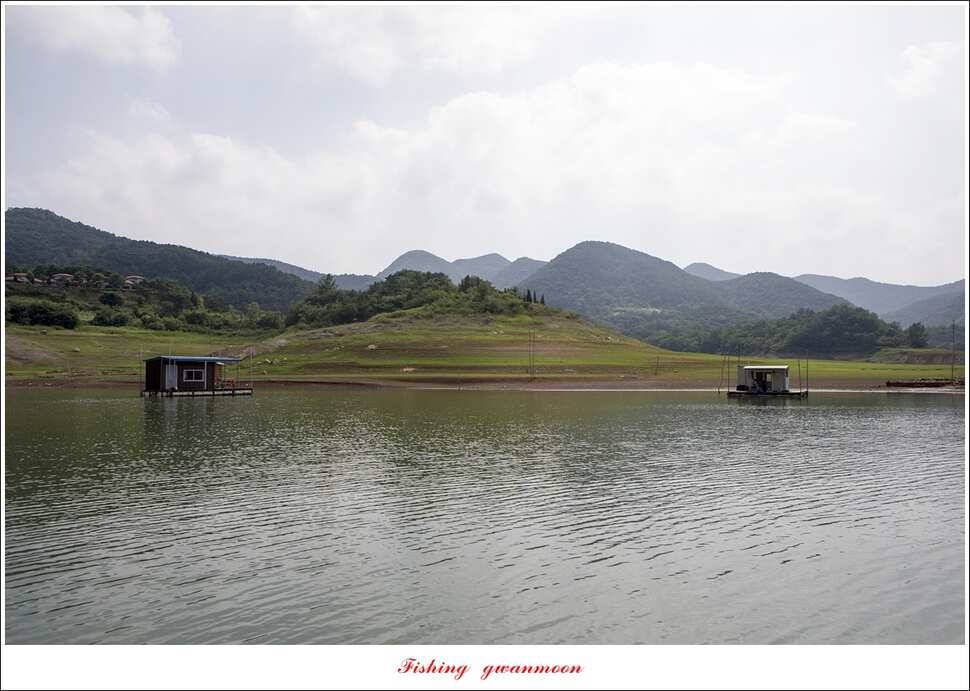충주호 오름수위 (조황조행기 - 특파원조황)