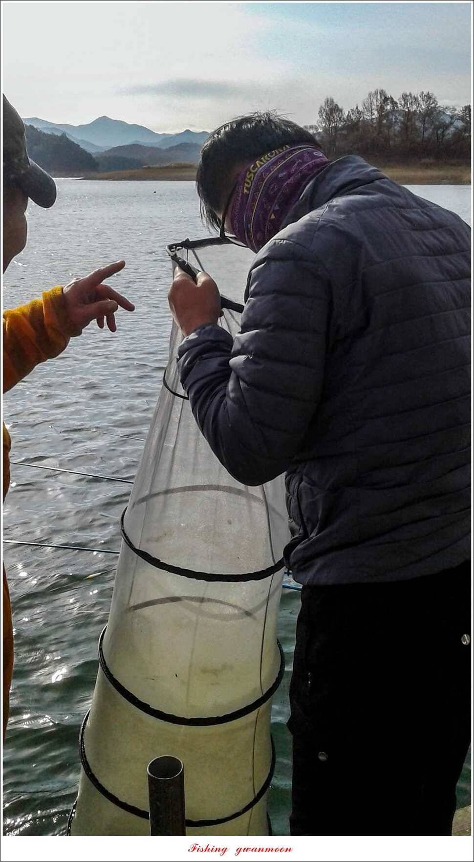 한버들 395 cm 및 마릿수 월척 조황 (조황조행기 - 특파원조황)