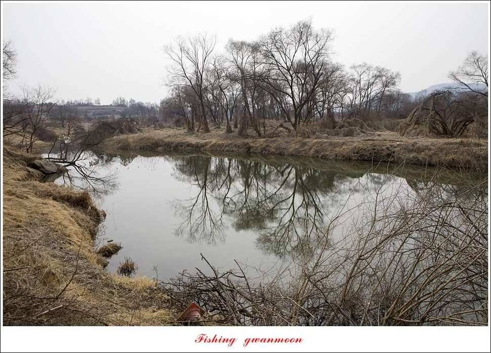 충주괴산권 물낚시 (조황조행기 - 특파원조황)