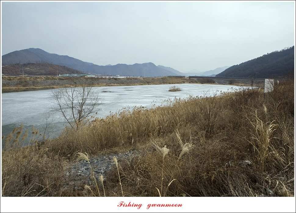 충주괴산권 물낚시 (조황조행기 - 특파원조황)