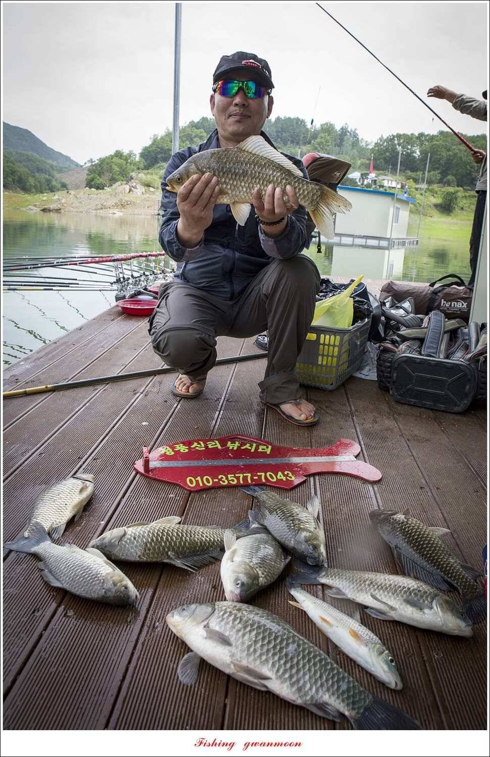 돌감 40 cm40 cm신리 42 cm 화곡지 사짜 조황 (조황조행기 - 특파원조황)