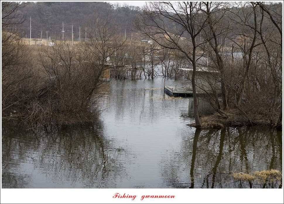 충주괴산권 물낚시 (조황조행기 - 특파원조황)