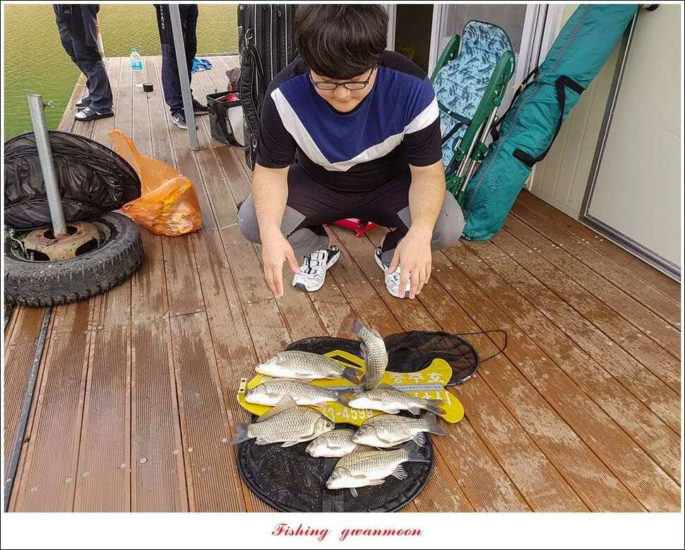 신매 42 cm 돌감 허리급한버들실리곡달천강 월척 조황 (조황조행기 - 특파원조황)