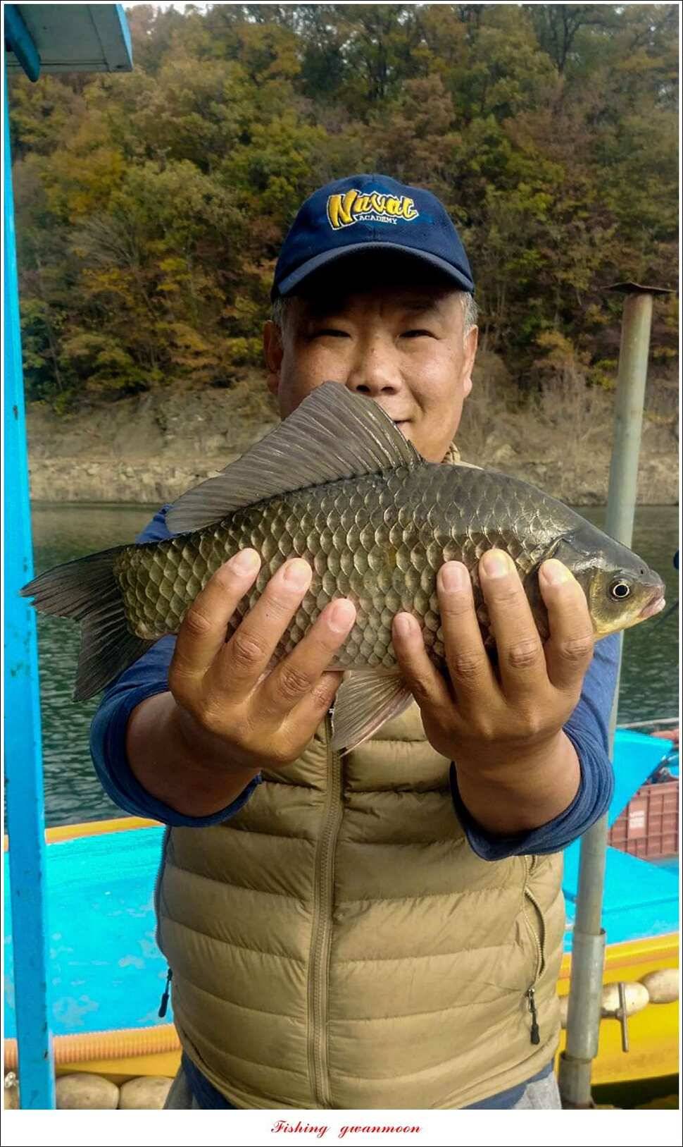 신매 허리급돌감 월척 조황 (조황조행기 - 특파원조황)