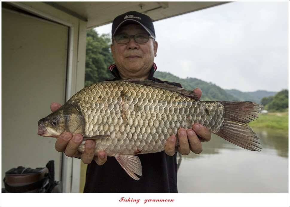 신매 42 cm 혹부리 대물돌감신리실리곡 월척 조황 (조황조행기 - 특파원조황)