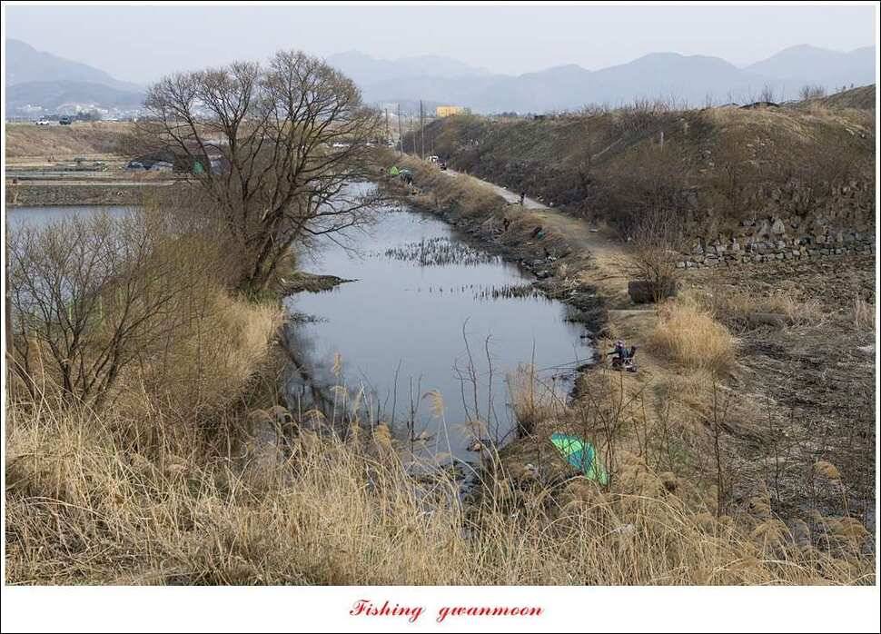 충주호 첫 붕어달천강 월척 (조황조행기 - 특파원조황)