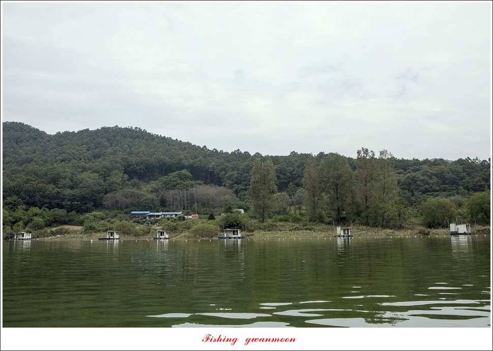 청풍 신리 39 cm실리곡 월척 조황 (조황조행기 - 특파원조황)