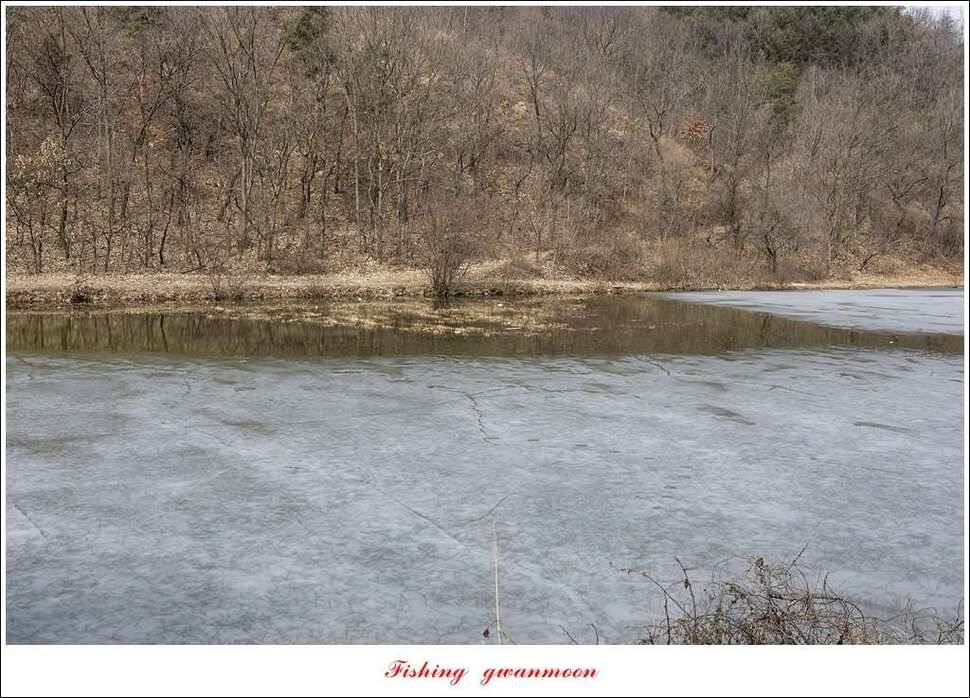충주괴산권 물낚시 (조황조행기 - 특파원조황)