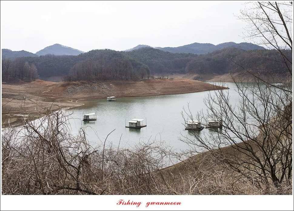 충주호 첫 붕어달천강 월척 (조황조행기 - 특파원조황)