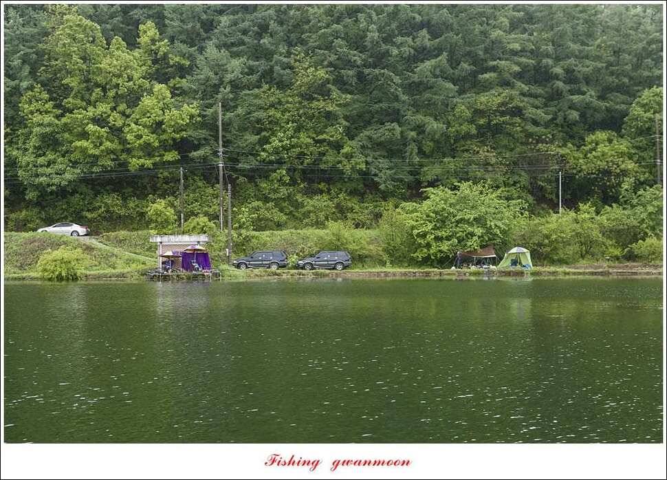 추평지 504 cm485 cm화곡지돌감실리곡 조황 (조황조행기 - 특파원조황)