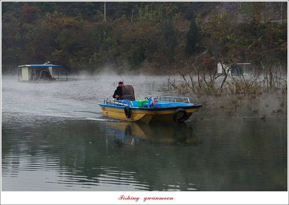 실리곡 월척 및 마릿수 조황 (조황조행기 - 특파원조황)