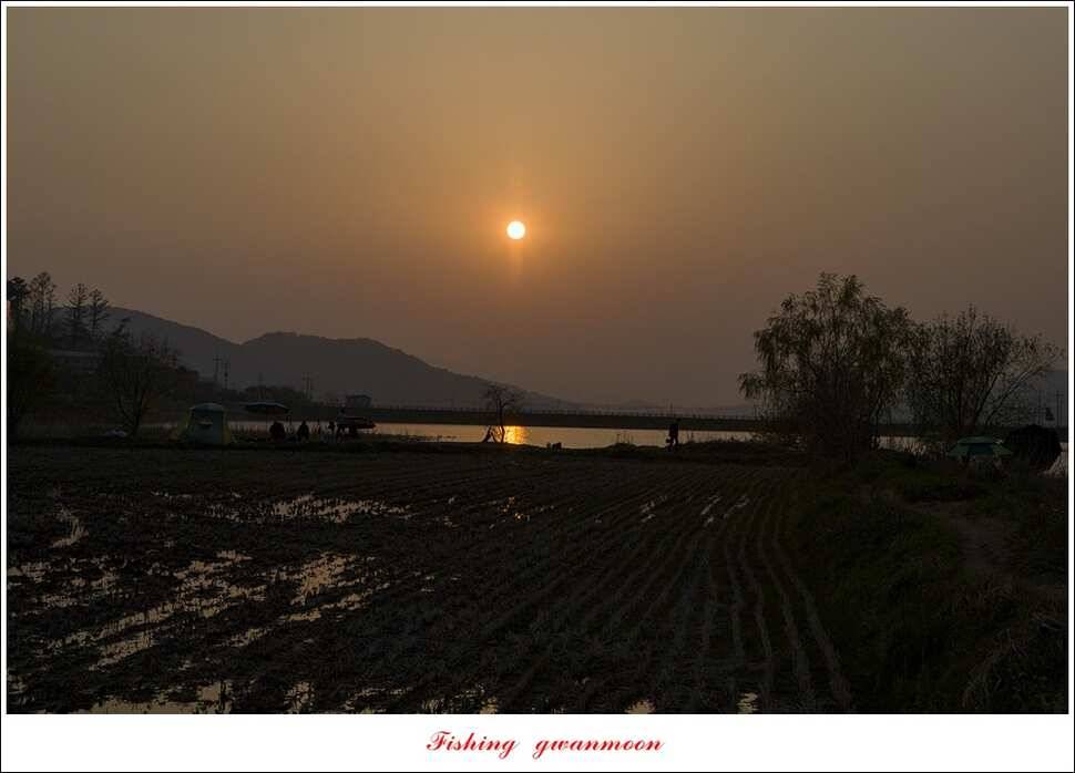 함지 마릿수 사짜실리곡 마릿수 월척 (조황조행기 - 특파원조황)