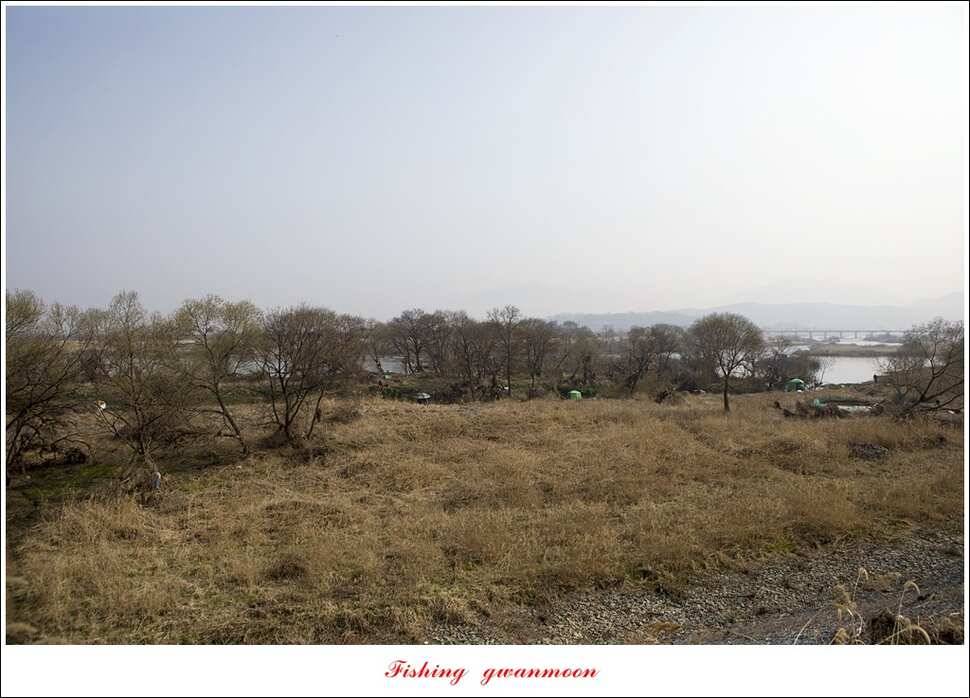 충주호 첫 붕어달천강 월척 (조황조행기 - 특파원조황)