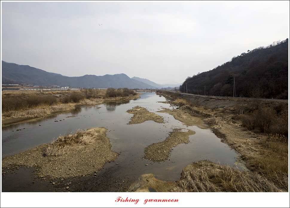 충주괴산권 물낚시 (조황조행기 - 특파원조황)