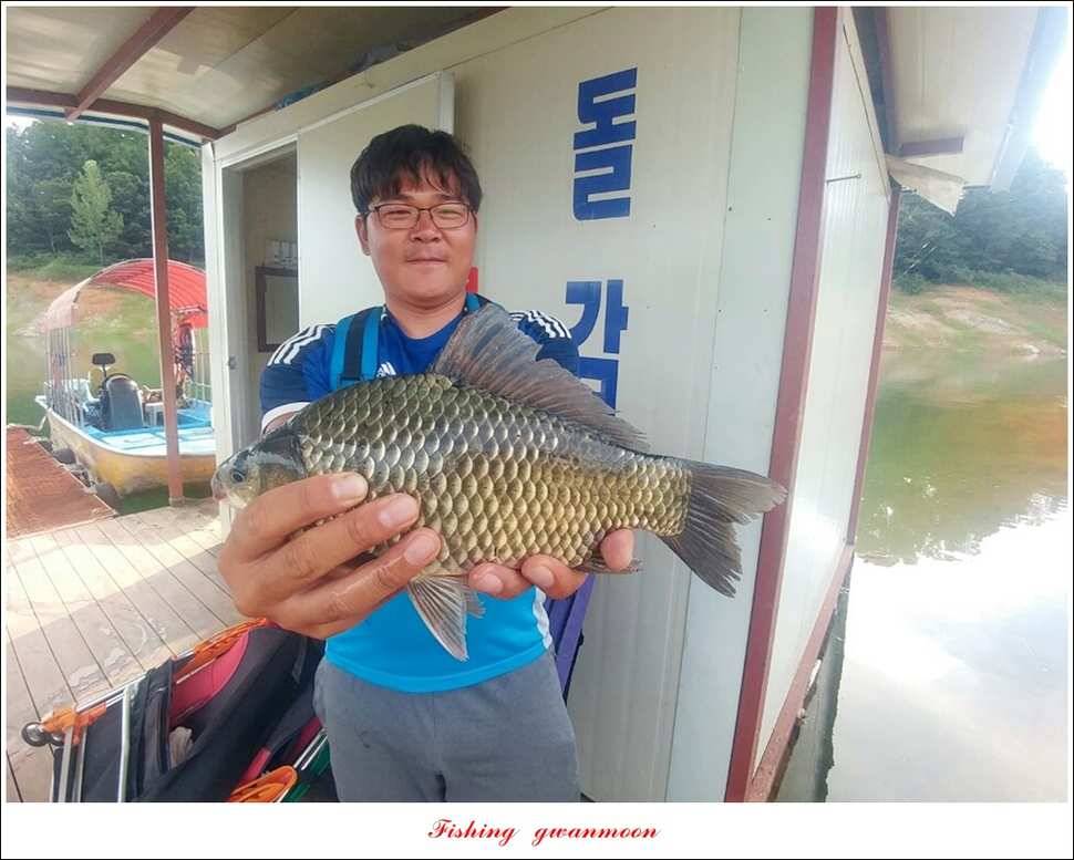 신매 42 cm돌감신리실리곡제일화곡지 조황 (조황조행기 - 특파원조황)
