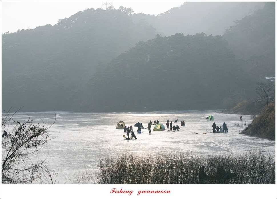 충주권 빙어 낚시 (조황조행기 - 특파원조황)