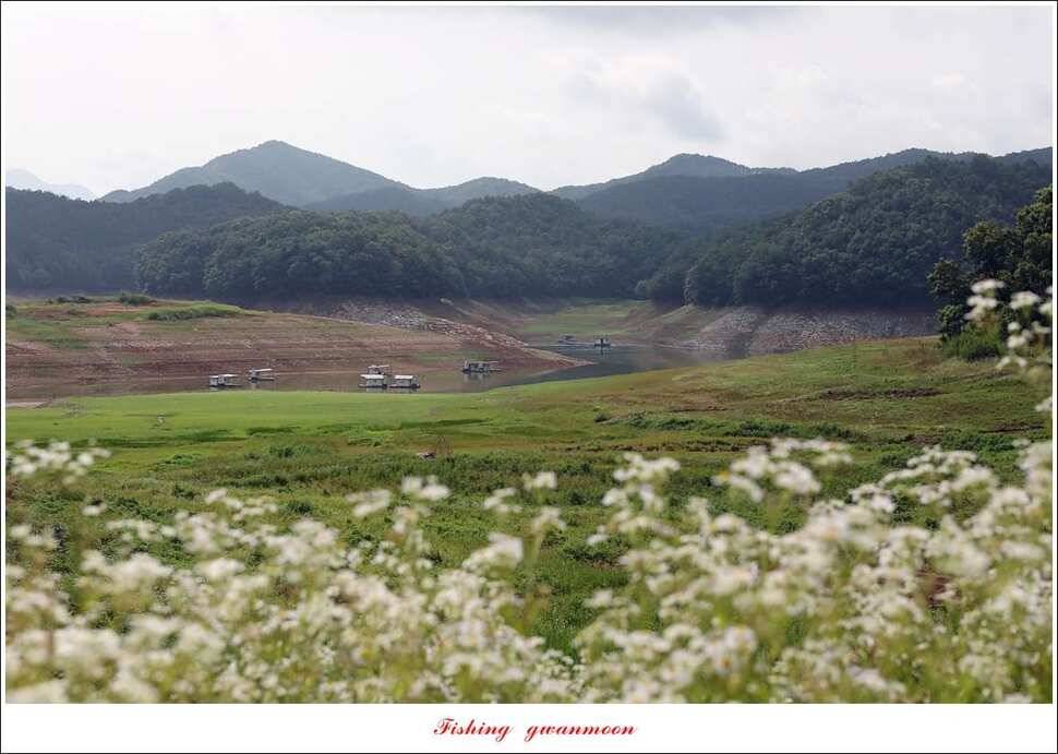한버들 39 cm37cm실리곡 38 cm 조황 (조황조행기 - 특파원조황)
