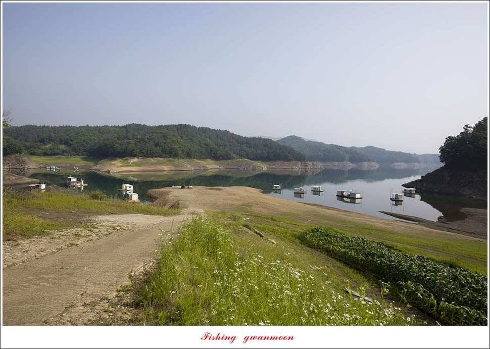 병호 장어 호조황실리곡 마릿수 월척 조황 (조황조행기 - 특파원조황)