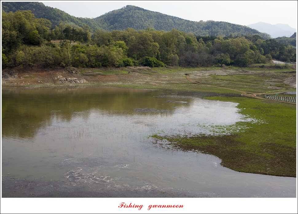 실리곡 사짜한버들 사짜 (조황조행기 - 특파원조황)